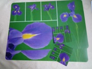 Podkładki kuchenne, maty na stół - dwie duże i dwie pod szklanki - Irysy