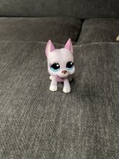 Littlest Pet Shop figurka dog pies dog niemiecki