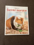 Angela Beck Świnki morskie żywienie | pielęgnacja | zdrowie
