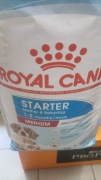 Royal Canin karma sucha kurczak 1 kg na wagę 