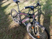 Rower Brennabor Race 7.0