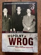 Wspólny wróg. Hitlerowskie Niemcy i Polska przeciw Związkowi Radzieckiemu