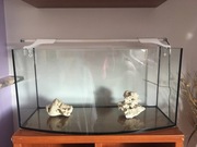 Akwarium 112l + Lampa LED