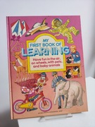 My first book of learning Have fun in the air on wheels with pet Anne McKie