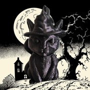  Przedstawiamy czarnego kota na Halloween! 