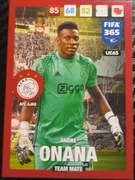 PANINI UPDATE 2017 FIFA 365 TEAM MATE AFC AJAX ONANA  UE65