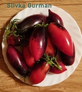 Pomidor Slivka Gurman - 10 nasion kolekcjonerskich