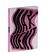 Album stray kids maxident 