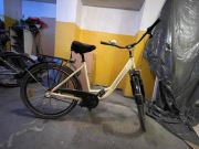 Rower damski COSSACK