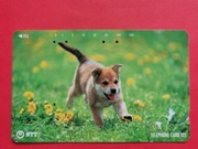 JAPONIA     - Karta telefoniczna  /  ODMIANA  /  PSY