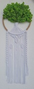 Makramowe drzewko z mchem