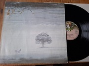 Genesis – Wind & Wuthering  GER 1Press EX