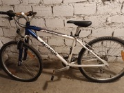 Rower Author Mirage 24"