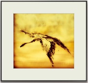 Oryginalny print obrazu "Leaving everything behind" od autorki z sygnaturą