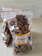 Propolis kit pszczeli
