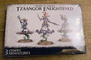 Tzaangor Enlightened