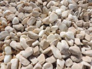 Otoczak Giallo Siena kamień żółty ozdobny Bazaltowy Kora Marianna Jaworzno