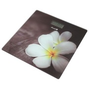 ŁUCZNIK elektroniczna waga łazienkowa BS-973 W14   Nowa!