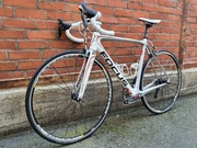 Focus Izalco 3T Pro Carbon Ultegra Roz. M 