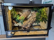 Terrarium Repti-Zoo 60x45x45 dla gekona lamparciego 