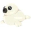 Harp Seal Adopt Me AM