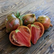 Pomidor Rebel starfighter prime - 10 nasion kolekcjonerskich