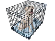 - 50% taniej* nowa klatka 200zł