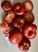 Pomidor Aurora Blue kolekcjonerskie nasiona