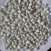 Fasola Piękny Jaś Karłowy 10 KG.