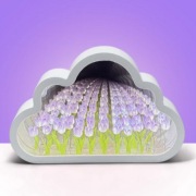 Chmurka LED z efektem 3D kwiatów lawendy! VIRAL I IDEALNA NA PREZENT