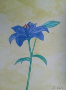 Obraz - Niebieskie lilie