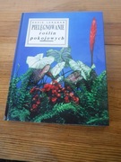 David Longman - Pielęgnowanie roślin pokojowych 1992 (jak nowa) ZOBACZ 