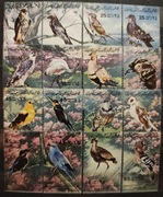 !!! LIBIA PTAKI-  PIĘKNA SERIA CZYSTE**!!! 