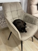 Krzesło do biurka i stołu