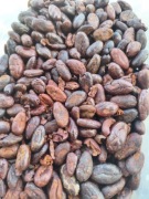 Kakao Ceremonialne Organiczne z Peru (Peru BLEND) 100g