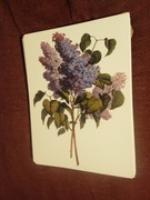 Kwiaty  reprint XIX w. grafik do aranżacji wnętrza