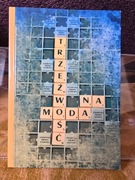 Moda na trzeźwość - Praca zbiorowa