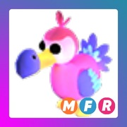 Dodo MFR | Adopt Me | Roblox