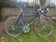 Rower szosowy Gazelle Champion Mondial