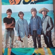 Plakat The Beatles 40cm x 50cm