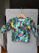 Kaola Kid bluza motyw zoo 68/74