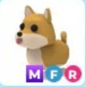 Adopt Me > SHIBA INU MFR