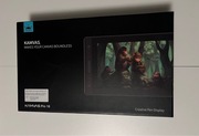 Huion Kamvas 16 Pro