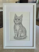 Kot - rysunek na prezent, obrazek, rysunek w białej ramce z passe-partout
