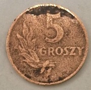 Moneta  5 gr z 1949r