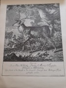 Rycina kopia Joh. E. Ridingera 