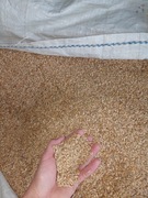 Pszenżyto 25kg czyszczone 