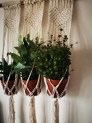 Kwietnik SERCA na 3 kwiaty handmade