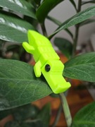 Figurka ruchomy krokodylek