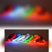 Obroża świeconca dla psa ,kota ,królika obroża led